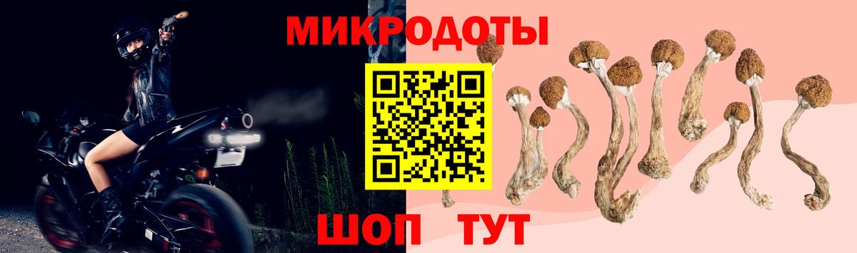 Галлюциногенные грибы Psilocybe  Вход с VPN  Вольск 